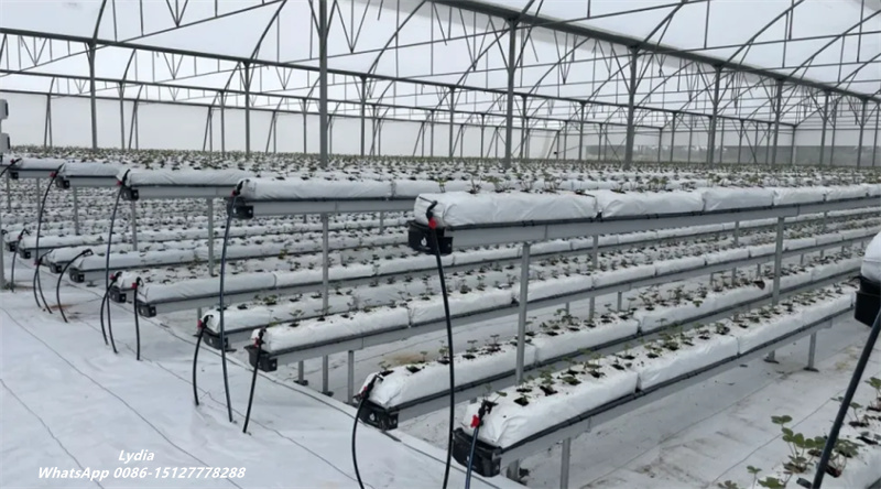 Hydroponic gutter roll forming machine for strawberry growing system