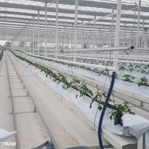 Hydroponic Hanging Gutter 07 Hydroponic gutter roll forming machine for strawberry growing system