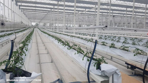 Hydroponic Hanging Gutter 07 Hydroponic gutter roll forming machine for strawberry growing system