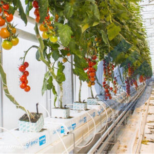 Hydroponic Hanging Gutter 08 Portable greenhouse gutter machine for tomato cultivation