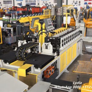 2 in 1 roll forming machine