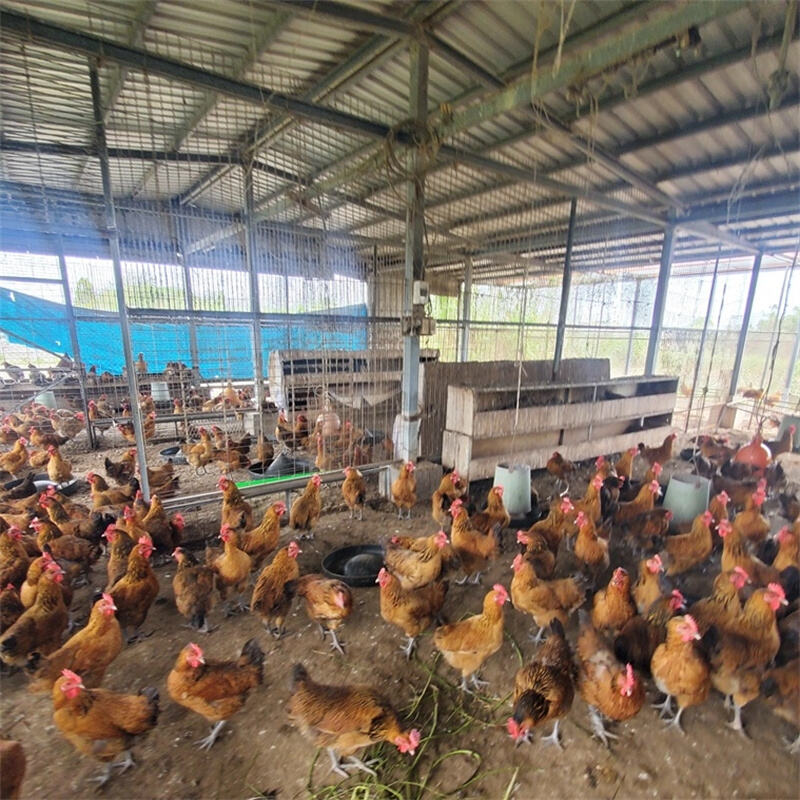Feed Trough Production Line
