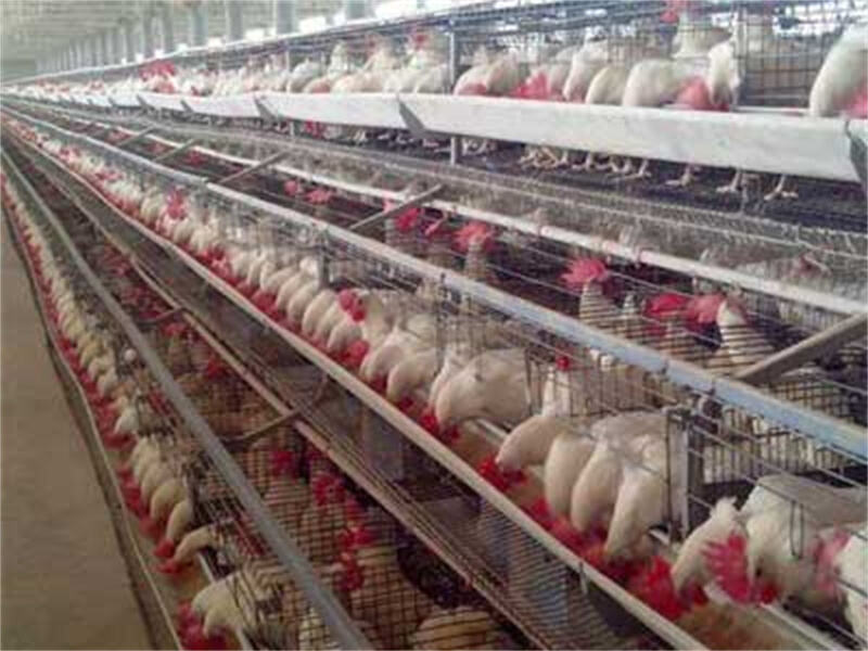 Feed Trough Production Line